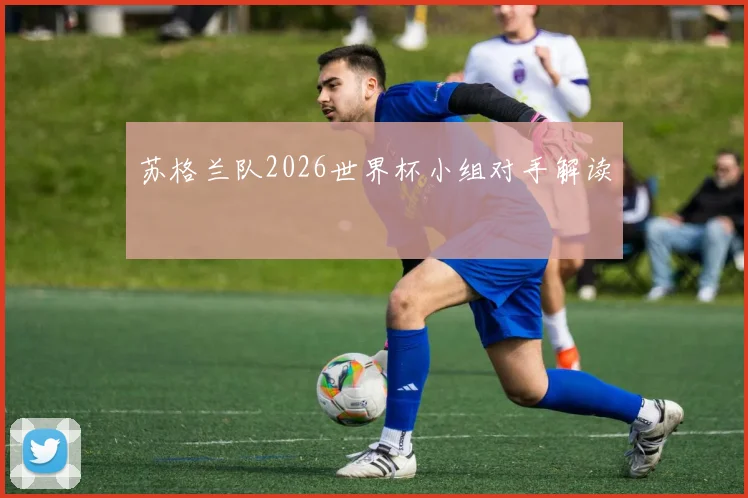 苏格兰队2026世界杯小组对手解读