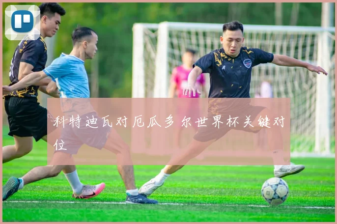 科特迪瓦对厄瓜多尔世界杯关键对位