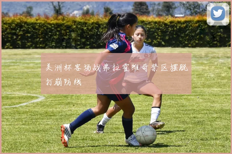 美洲杯客场战弗拉霍维奇禁区摆脱打崩防线