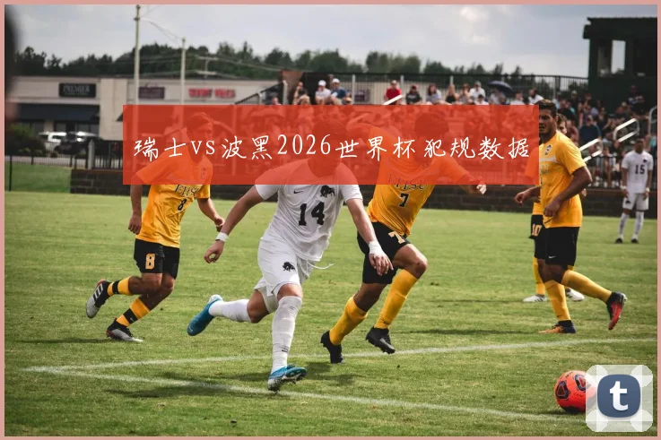 瑞士vs波黑2026世界杯犯规数据