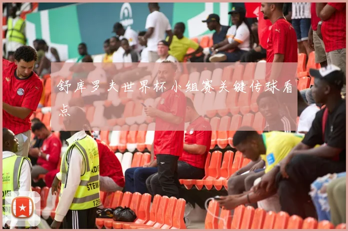 舒库罗夫世界杯小组赛关键传球看点